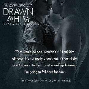 Drawn to Him - Willow Winters